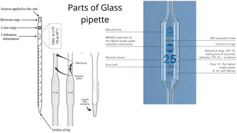 What name is given to the pipette used to extract maturing wine 